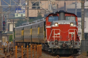 JR西日本 国鉄DD51形ディーゼル機関車 サロンカーなにわ DD51-1183 鉄道フォト・写真 by FM-805Dさん 和歌山駅 (JR)：2015年11月15日12時ごろ
