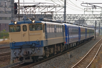 JR西日本 国鉄EF65形電気機関車 EF65-1133 鉄道フォト・写真 by FM-805Dさん 茨木駅：2015年11月21日13時ごろ