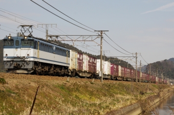 JR貨物 国鉄EF65形電気機関車 EF65-2050 鉄道フォト・写真 by FM-805Dさん 安土駅：2019年02月24日12時ごろ