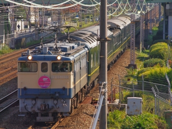 JR西日本 国鉄EF65形電気機関車 特別なトワイライトエクスプレス EF65-1135 鉄道フォト・写真 by FM-805Dさん 立花駅：2015年11月28日10時ごろ