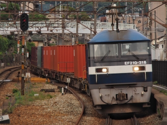 EF210-318 鉄道フォト・写真