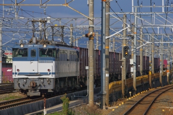 JR貨物 国鉄EF65形電気機関車 EF65-2093 鉄道フォト・写真 by FM-805Dさん 千里丘駅：2015年11月28日14時ごろ