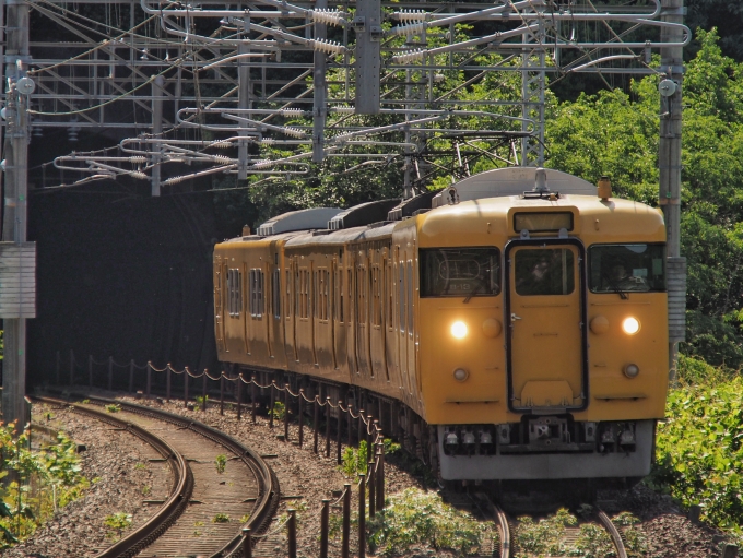JR西日本 クハ111形 クハ111-2014 鉄道フォト・写真 by FM-805Dさん 日羽駅：2023年06月04日08時ごろ