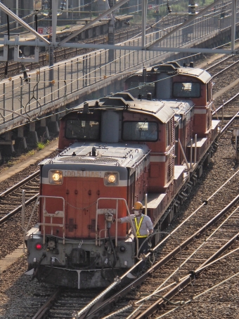 JR西日本 国鉄DD51形ディーゼル機関車 DD51-1186·1179 鉄道フォト・写真 by FM-805Dさん 東福山駅：2023年06月17日07時ごろ