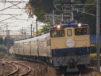 JR西日本 国鉄EF65形電気機関車 サロンカーあさかぜ(サロンカーなにわ) EF65-1133 鉄道フォト・写真 by FM-805Dさん 長府駅：2017年12月03日12時ごろ