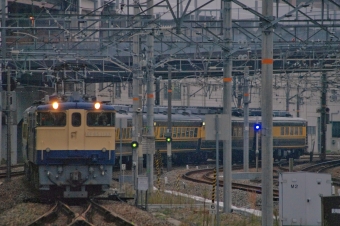 JR西日本 国鉄EF65形電気機関車 サロンカーなにわ EF65-1133 鉄道フォト・写真 by FM-805Dさん 岡山駅：2017年11月26日16時ごろ