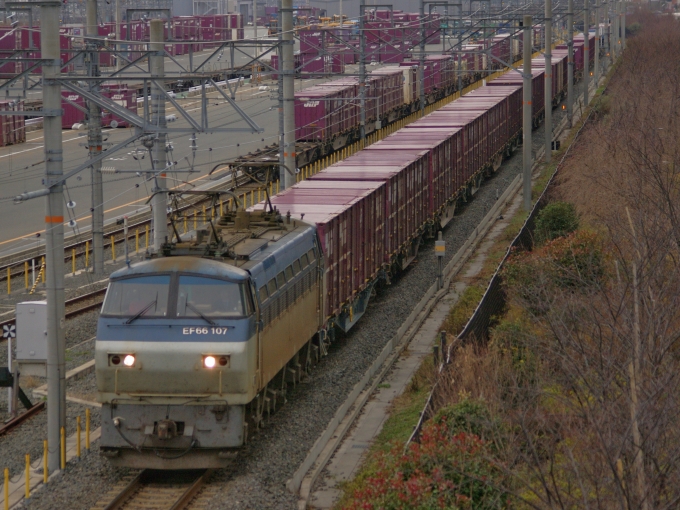 JR貨物 国鉄EF66形電気機関車 EF66-107 鉄道フォト・写真 by FM-805Dさん 岸辺駅：2018年01月28日13時ごろ