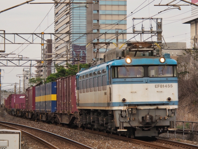 JR貨物 国鉄EF81形電気機関車 EF81-455 鉄道フォト・写真 by FM-805Dさん 戸畑駅：2023年06月24日18時ごろ