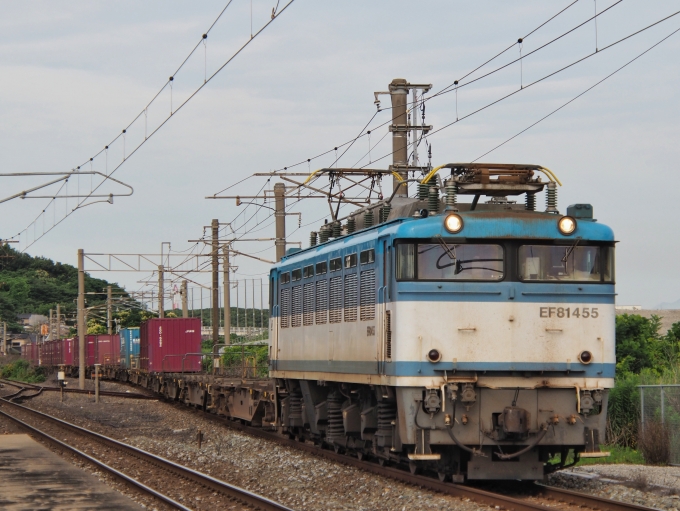 JR貨物 国鉄EF81形電気機関車 EF81-455 鉄道フォト・写真 by FM-805Dさん 戸畑駅：2023年06月24日07時ごろ