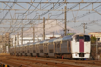 おはようライナー新宿(特急) 鉄道フォト・写真