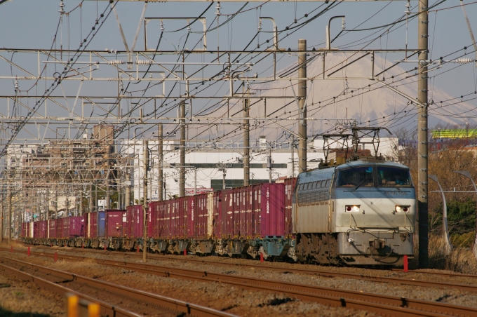 JR貨物 国鉄EF66形電気機関車 EF66-105 鉄道フォト・写真 by FM-805Dさん 藤沢駅 (JR)：2018年03月02日08時ごろ