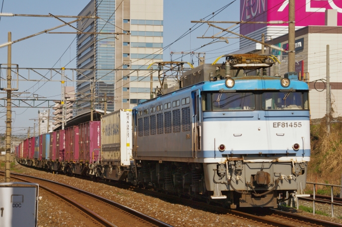 JR貨物 国鉄EF81形電気機関車 EF81-455 鉄道フォト・写真 by FM-805Dさん 戸畑駅：2018年03月17日15時ごろ