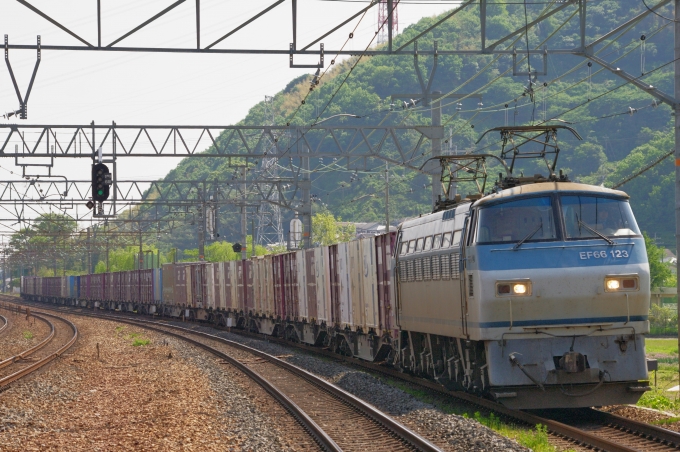 JR貨物 国鉄EF66形電気機関車 EF66-123 鉄道フォト・写真 by FM-805Dさん 島本駅：2015年05月01日14時ごろ
