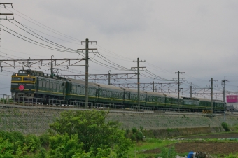 JR西日本 国鉄EF81形電気機関車 トワイライトエクスプレス (特別なトワイライトエクスプレス) EF81-113 鉄道フォト・写真 by FM-805Dさん 上牧駅 (大阪府)：2015年05月16日10時ごろ