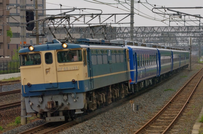 鉄道フォト・写真：JR西日本 国鉄EF65形電気機関車 EF65-1135 茨木駅 鉄道フォト・写真 by FM-805Dさん - 撮影日 2015/05/16 13:04