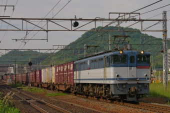 JR貨物 国鉄EF65形電気機関車 EF65-2090 鉄道フォト・写真 by FM-805Dさん 彦根駅 (JR)：2015年05月31日15時ごろ