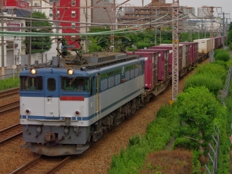 JR貨物 国鉄EF65形電気機関車 EF65-2084 鉄道フォト・写真 by FM-805Dさん 立花駅：2015年06月20日16時ごろ