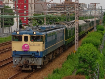 JR西日本 国鉄EF65形電気機関車 トワイライトエクスプレス(特別なトワイライトエクスプレス) EF65-1133 鉄道フォト・写真 by FM-805Dさん 立花駅：2015年06月20日16時ごろ
