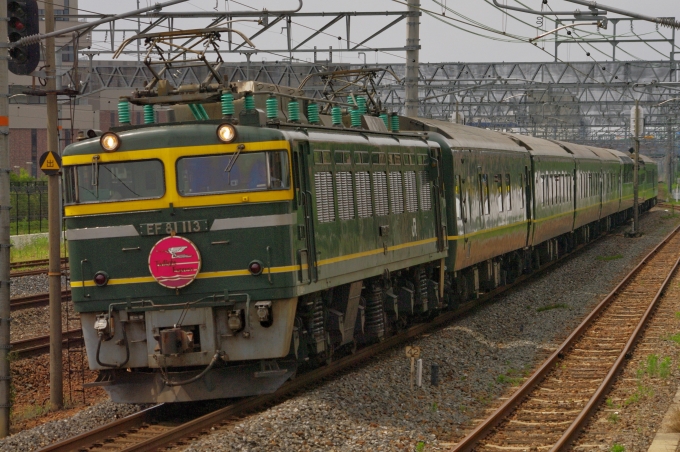JR西日本 国鉄EF81形電気機関車 トワイライトエクスプレス(特別なトワイライトエクスプレス) EF81-113 鉄道フォト・写真 by FM-805Dさん 茨木駅：2015年07月11日10時ごろ