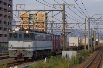 JR貨物 国鉄EF65形電気機関車 EF65-2095 鉄道フォト・写真 by FM-805Dさん 千里丘駅：2013年11月09日16時ごろ