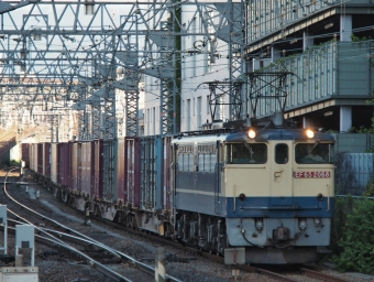 JR貨物 国鉄EF65形電気機関車 EF65-2068 鉄道フォト・写真 by FM-805Dさん 尼崎駅 (JR)：2023年08月06日06時ごろ