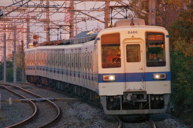東武鉄道 東武8000系電車 8466 鉄道フォト・写真 by FM-805Dさん 豊春駅：2013年12月01日16時ごろ