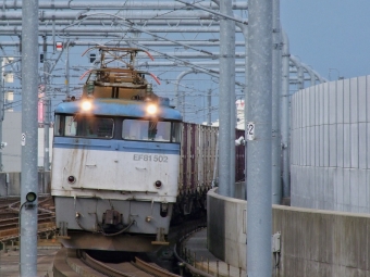 JR貨物 国鉄EF81形電気機関車 EF81-502 鉄道フォト・写真 by FM-805Dさん 福井駅 (福井県|JR)：2009年08月12日16時ごろ
