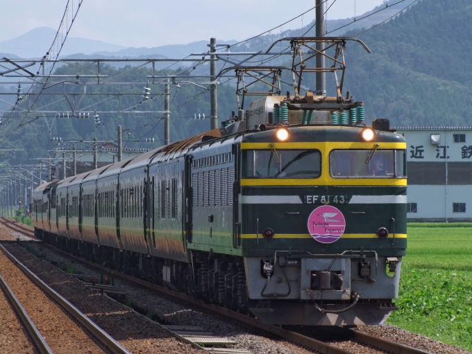 JR西日本 国鉄EF81形電気機関車 トワイライトエクスプレス(特急) EF81-43 鉄道フォト・写真 by FM-805Dさん 王子保駅：2009年08月12日14時ごろ