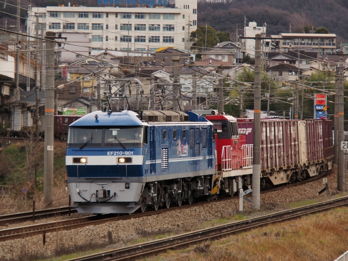 JR貨物 EF210形 EF210-901 鉄道フォト・写真 by FM-805Dさん 東福山駅：2022年03月19日08時ごろ
