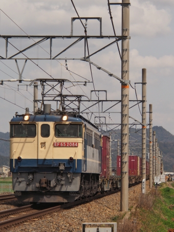 JR貨物 国鉄EF65形電気機関車 EF65-2084 鉄道フォト・写真 by FM-805Dさん 近江八幡駅 (JR)：2022年03月30日12時ごろ