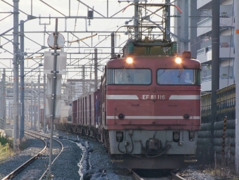 JR貨物 国鉄EF81形電気機関車 EF81-116 鉄道フォト・写真 by FM-805Dさん 千里丘駅：2011年11月21日14時ごろ