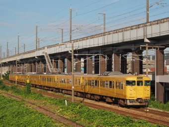 クハ115-1146 鉄道フォト・写真
