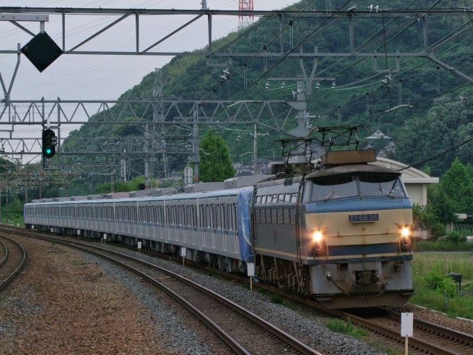 JR貨物 国鉄EF66形電気機関車 EF66-36 鉄道フォト・写真 by FM-805Dさん 島本駅：2011年05月27日05時ごろ