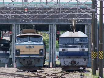 JR貨物 EF210形 EF210-159 鉄道フォト・写真 by FM-805Dさん 岸辺駅：2011年05月07日12時ごろ