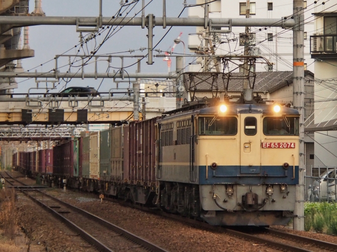 JR貨物 国鉄EF65形電気機関車 EF65-2074 鉄道フォト・写真 by FM-805Dさん 新大阪駅 (JR)：2023年09月30日16時ごろ