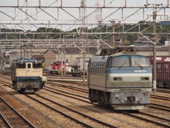 JR貨物 国鉄EF66形電気機関車 EF66-117 鉄道フォト・写真 by FM-805Dさん 東福山駅：2023年10月07日13時ごろ