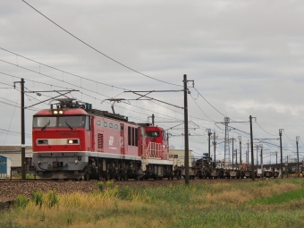 JR貨物 EF510形 EF510-8 鉄道フォト・写真 by FM-805Dさん 能美根上駅：2023年10月09日10時ごろ