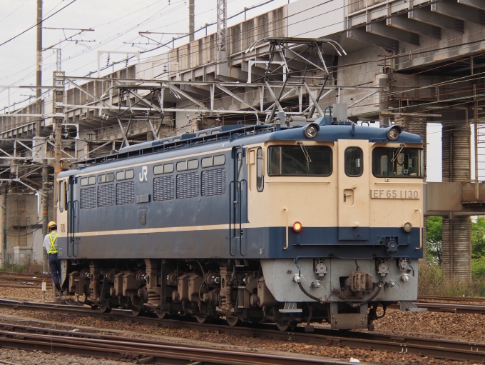 鉄道フォト・写真：JR西日本 国鉄EF65形電気機関車 EF65-1130 東福山駅 鉄道フォト・写真 by FM-805Dさん - 撮影日 2023/05/28 07:14