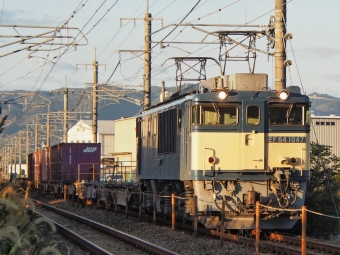 JR貨物 国鉄EF64形電気機関車 EF64-1047 鉄道フォト・写真 by FM-805Dさん 清音駅 (JR)：2023年10月29日16時ごろ
