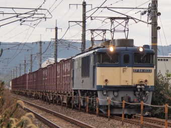 JR貨物 国鉄EF64形電気機関車 EF64-1033 鉄道フォト・写真 by FM-805Dさん 清音駅 (JR)：2023年11月12日09時ごろ