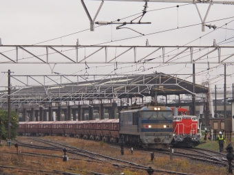 JR貨物 EF510形 EF510-505 鉄道フォト・写真 by FM-805Dさん 美濃赤坂駅：2023年12月16日08時ごろ