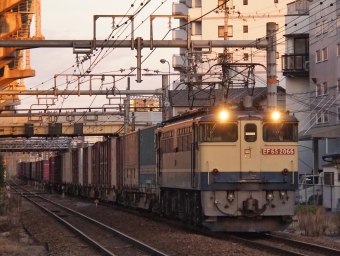 JR貨物 国鉄EF65形電気機関車 EF65-2066 鉄道フォト・写真 by FM-805Dさん 新大阪駅 (JR)：2023年12月23日16時ごろ