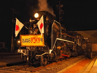 国鉄D51形蒸気機関車 D51-194 鉄道フォト・写真 by FM-805Dさん 津和野駅：2024年01月02日18時ごろ