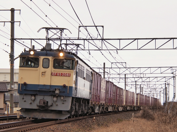 JR貨物 国鉄EF65形電気機関車 EF65-2081 鉄道フォト・写真 by FM-805Dさん 守山駅 (滋賀県)：2024年01月08日12時ごろ