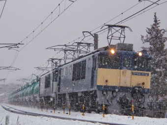 JR貨物 EF64-1037＋1020 鉄道フォト・写真 by FM-805Dさん 奈良井駅：2024年01月20日14時ごろ
