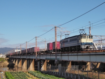 JR貨物 国鉄EF65形電気機関車 EF65-2096 鉄道フォト・写真 by FM-805Dさん 桂川駅 (京都府)：2024年02月17日13時ごろ
