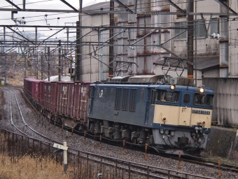 JR西日本 国鉄EF64形電気機関車 EF64-1024 鉄道フォト・写真 by FM-805Dさん 新見駅：2024年02月25日08時ごろ