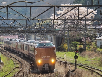 JR西日本273系電車 やくも(特急) 鉄道フォト・写真 by FM-805Dさん 新見駅：2024年04月07日10時ごろ