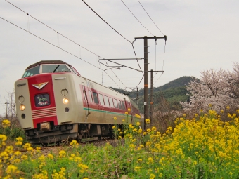 JR西日本 国鉄381系電車 やくも(特急) 鉄道フォト・写真 by FM-805Dさん 清音駅 (JR)：2024年04月07日14時ごろ