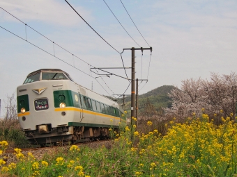 JR西日本 クロ381形 やくも(特急) クロ381-144 鉄道フォト・写真 by FM-805Dさん 清音駅 (JR)：2024年04月07日15時ごろ